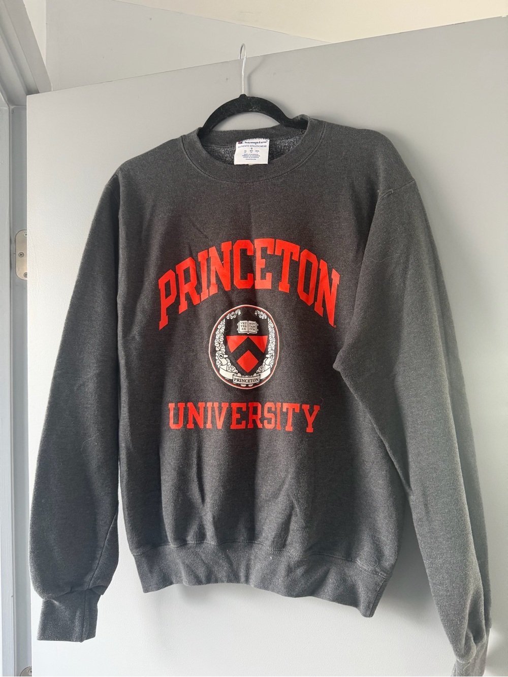 Champion Charcoal Crewneck Sweatshirt with Red Princeton Lettering